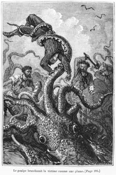 Der Oktopus greift den Nautilus an, Illustration aus 